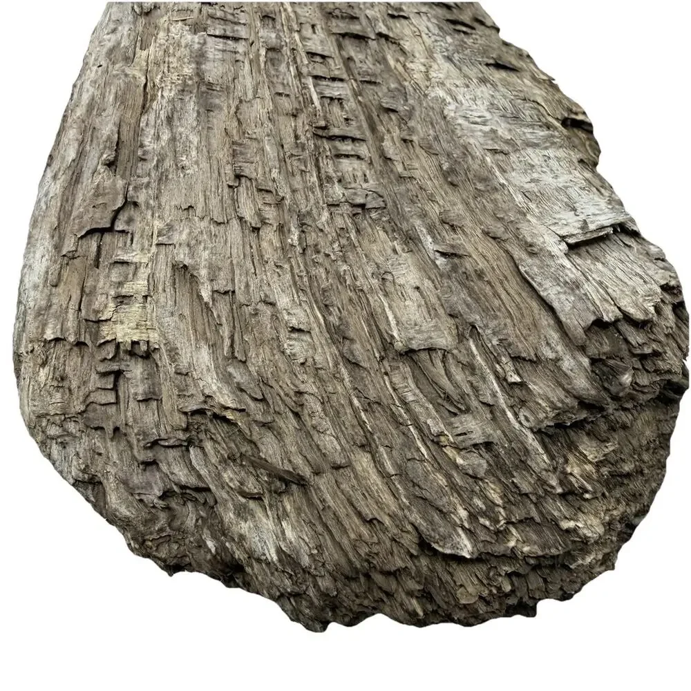 Twisted California Coast Driftwood Form – Dark Weathered Grain 13”